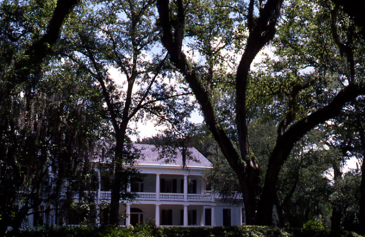 louisianep