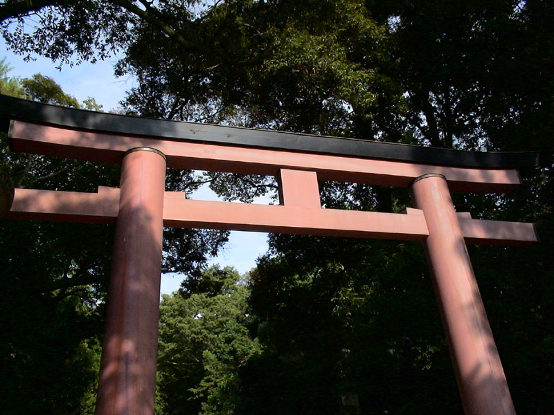japonzq